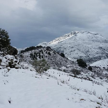 Finca Las Morenas Yunquera Zewnętrze zdjęcie