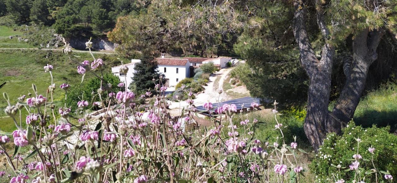 Finca Las Morenas Yunquera Zewnętrze zdjęcie