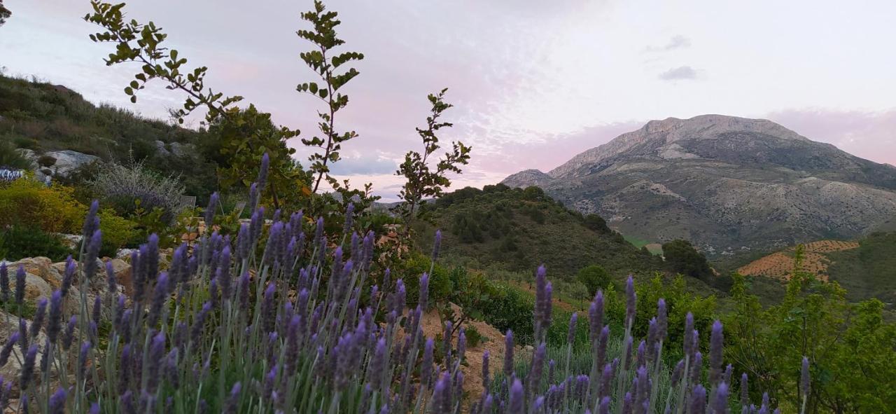 Finca Las Morenas Yunquera Zewnętrze zdjęcie