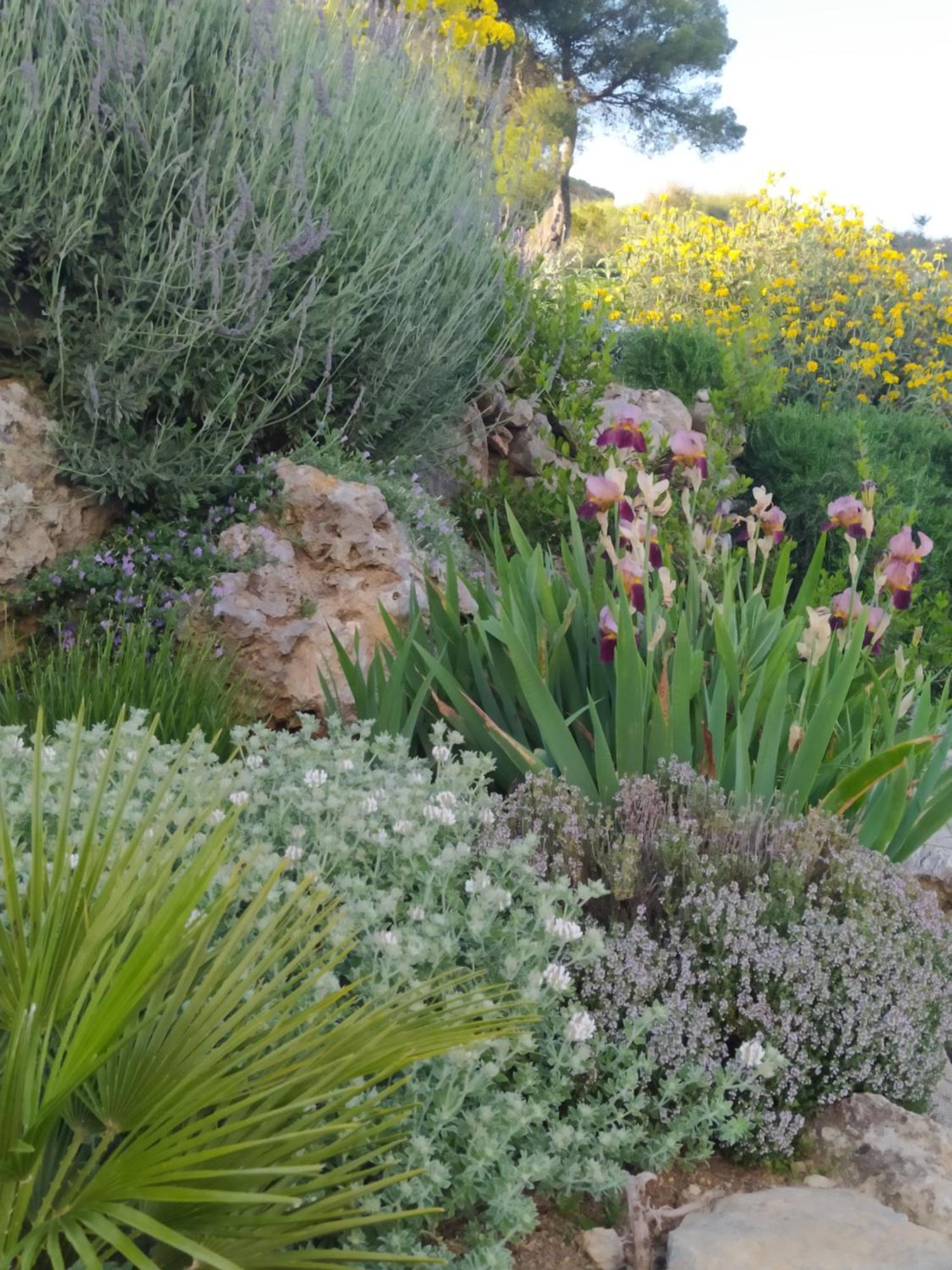 Finca Las Morenas Yunquera Zewnętrze zdjęcie
