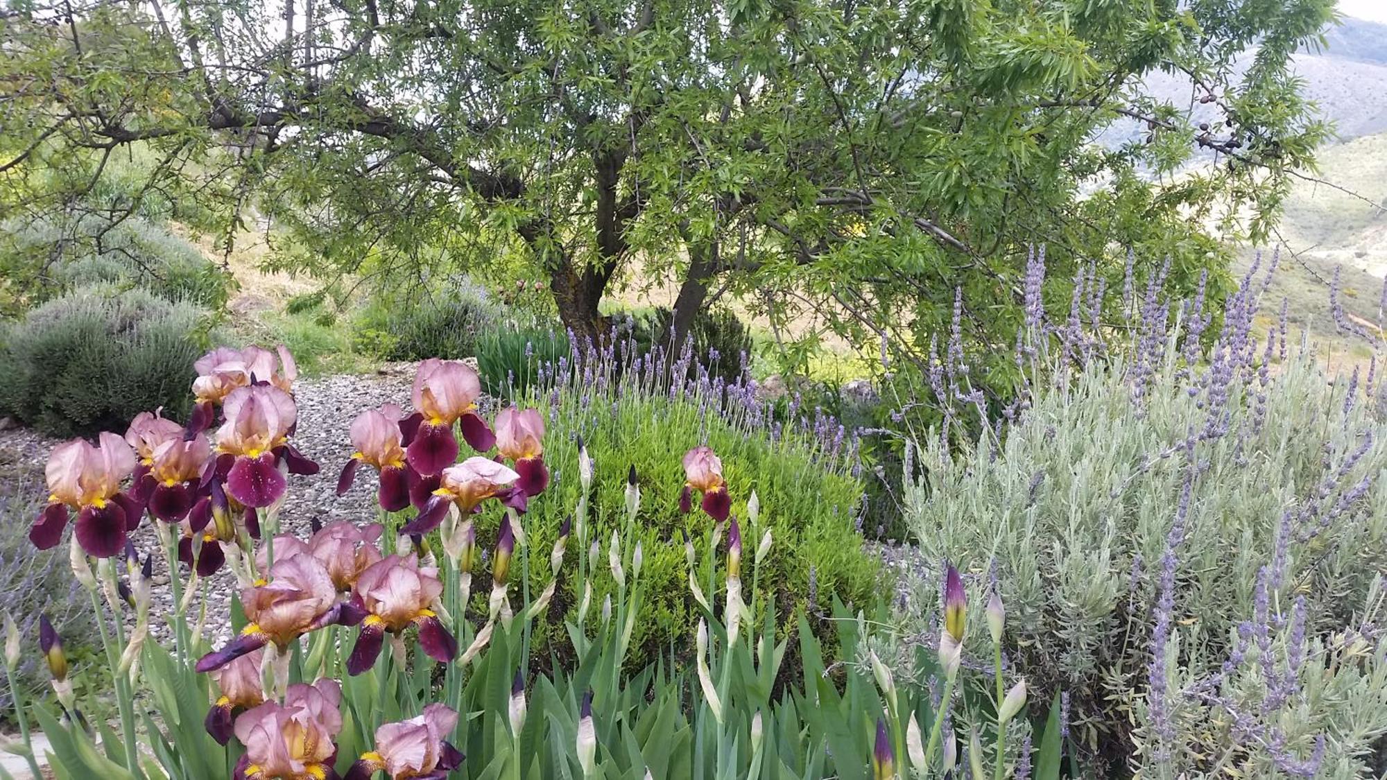 Finca Las Morenas Yunquera Zewnętrze zdjęcie