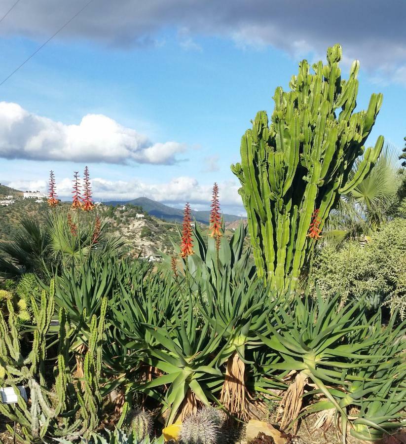 Finca Las Morenas Yunquera Zewnętrze zdjęcie