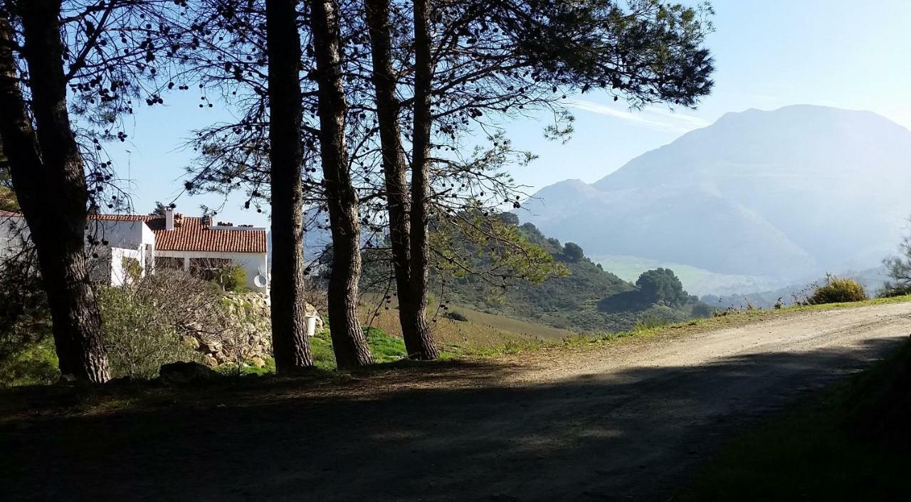 Finca Las Morenas Yunquera Zewnętrze zdjęcie