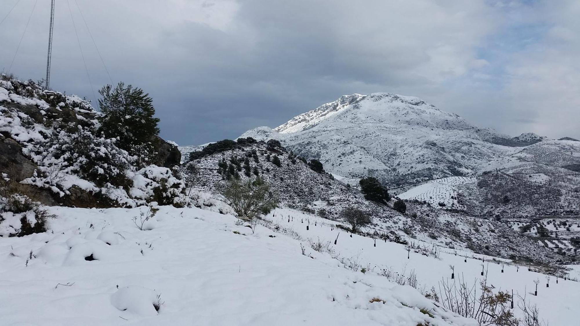 Finca Las Morenas Yunquera Zewnętrze zdjęcie